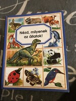 Nézd milyenek az állatok .Gyerek-Könyv