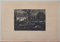 + Török Endre : Kukorica hordás