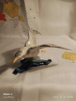 Antik Ens porcelán sirály