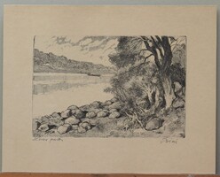 + Biai Föglein István : Köves part