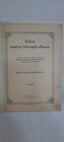 Képes magyar bélyegek albuma (1909, Wiesner J. Emil) – 4. kiadás, ritka gyűjtői kötet