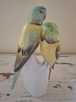 Hollóházi hullámos papagáj pár
