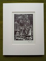 Molnár C Pál: A tudós