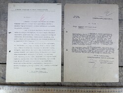 -AV842- Régi Irat Dokumentum Szórólap Röplap Hadifogoly Gondozás Visszatérés Magyar Vöröskereszt