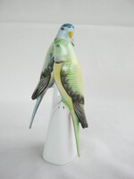 Hollóházi porcelán madár papagáj pár