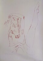 Melocco Miklós: Ló és leány