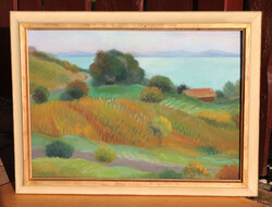 Károlyi Ernő: Szőlőhegy