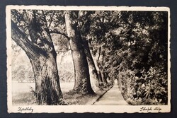 Keszthely Sóhajok alléja képeslap Barasits