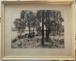 Biai Föglein István: Út a víz mellett