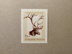 Magyarország - Trófeák 1966