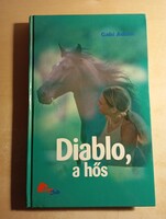 Gabi Adam Diablo, a hős