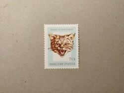 Magyarország - Trófeák 1966