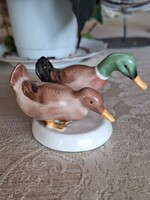 Aquincumi kacsa pár