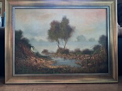 Csáky Lajos:Ártér