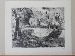 - Biai Föglein István : Napos tisztás