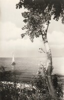 Ba - 859  Akinek a Balaton a szép Emlék: Üdvözlet