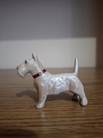 Aquincum porcelán Fox terrier kutya. Hibátlan. Jelzett