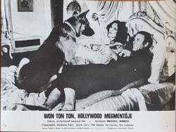 Won Ton Ton, Hollywood megmentője vitrinkép, filmfotó, 1976