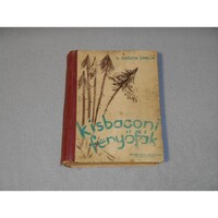 B. Csűrös Emília - Kisbaconi fenyőfák (Singer és Wolfner, 1943)