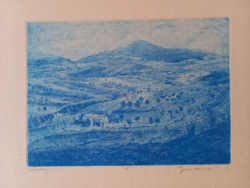 Gross Arnold rézkarc : Domboldal / korai, ritka színezésű