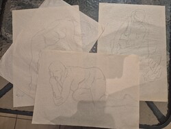 Rajz grafika nöiakt