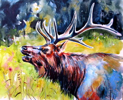 Stag- watercolor painting / Szarvas- akvarell festmény