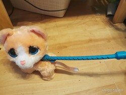 Sétáltatható, nyávogó cica. - Walkable, meowing kittens