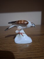 Aquincum porcelán madár, sólyom, sas. Hibátlan. Jelzett
