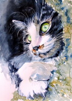 Resting cat  - watercolor painting/Pihenő macska  -   akvarell festmény