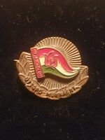 Előre úttörő munkáért jelvény