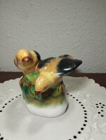 Bodrogkeresztúri sárgarigó pár    ( madár)