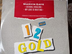 MARVIN GAYE. SEXUAL HEALING 12' GOLD,   /MAXI. 1989