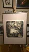 Béla Tassy - Still Life - etching / aquatint