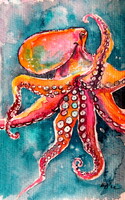 Octopus-  watercolor painting - Polip-  akvarell festmény