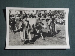 Képeslap,Budapest,Mezőgazdasági kiállítás,szarvasmarha látkép,részlet,1956-