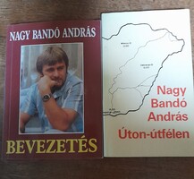 Nagy Bandó András