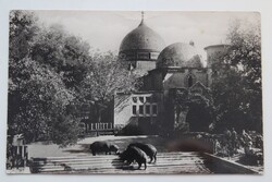 Képeslap, Budapest, Állatkert