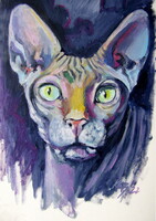 Sphynx cat -  oil painting - Szfinx cica -  olaj festmény