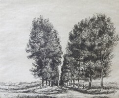 (N) Boldizsár István (1897-1984) : Fasor