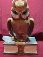Zsolnay tudós bagoly