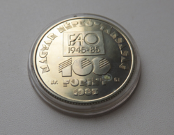 1985, FAO 100 Ft, BU