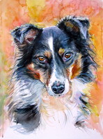 Kovács Anna Brigitta: Cute dog II  - watercolor painting/ Cuki kutya II-   akvarell festmény