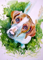 Kovács Anna Brigitta: Cute dog  - watercolor painting/ Cuki kutya -   akvarell festmény
