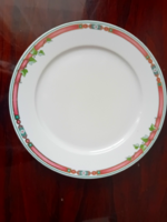 ALFÖLDI PORCELÁN LAPOS TÁNYÉR, MODERN, SZÍNES SZEGÉLY, SZŐLŐLEVÉL DEKOR