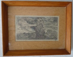 SZÉKELY : A VIHAR