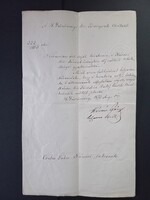 Királyi törvényszéki kinevezés telekkönyvi gyakornokká 1857 Hajdúböszörmény papírfedésű viaszpecsét