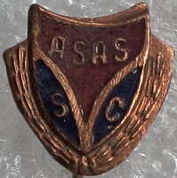 Vasas foci sport jelvény