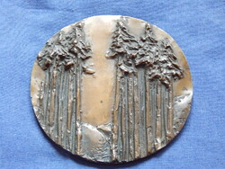 Tóth Sándor:: PETER BOESCHNAK Dr. Szabó Judit-János Szeged 1982  - jelzett bronzplakett