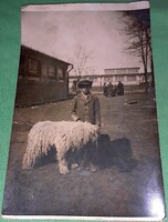 Antik magyar fotó képeslap kislegény kedvenc komondor kutyájával a képek szerint