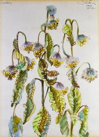 Róna Emmy (1904-1988) VIRÁGOK 1969